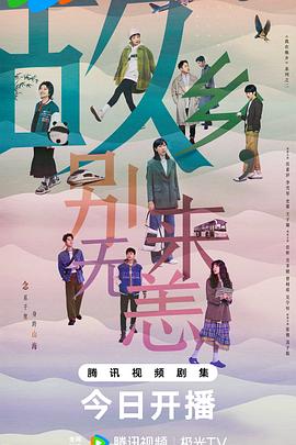 广西seo排名优化正规公司